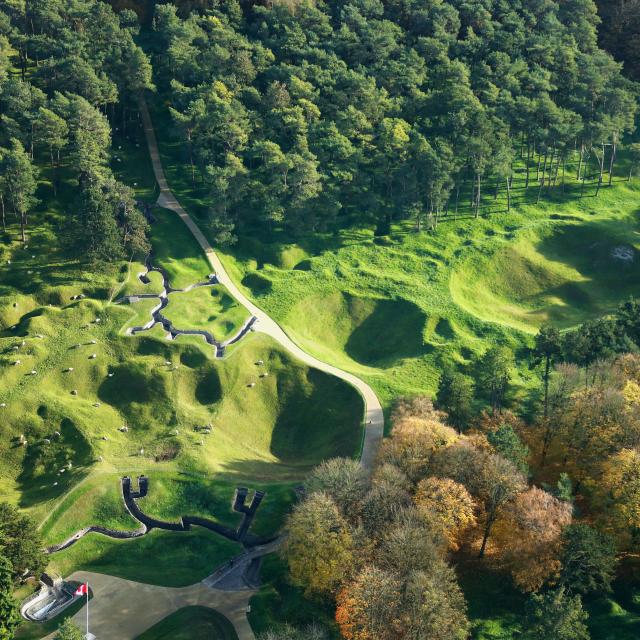 171118279pfcor P Frutier