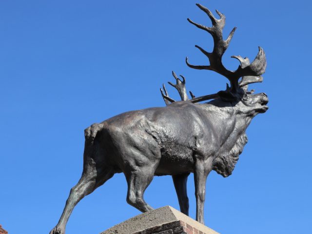 Mémorial de Terre-Neuve représentant un caribou en bronze
