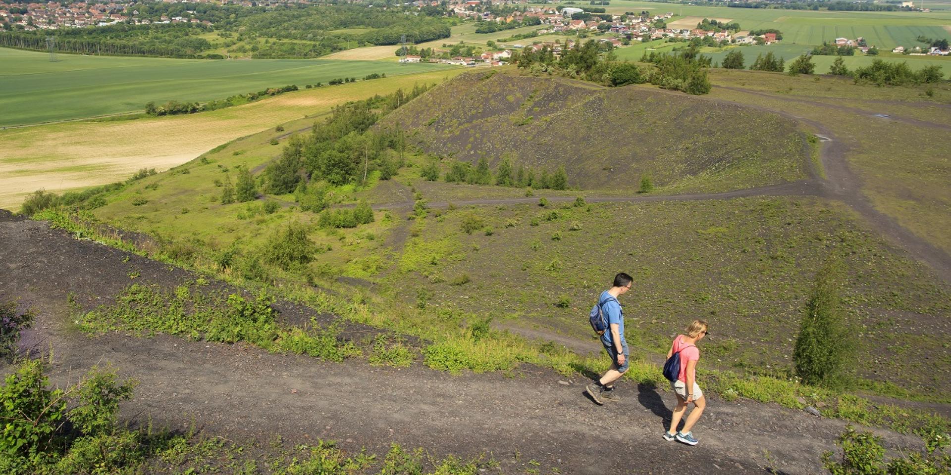 vue du haut du terril, loos en gohelle