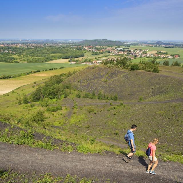 Blick von der Spitze der Halde, loos en gohelle