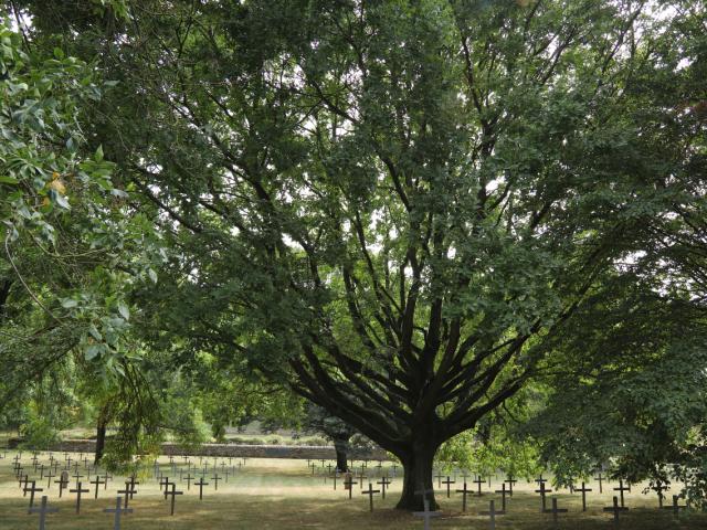 Duitse Necropolis Saint Laurent Blangy