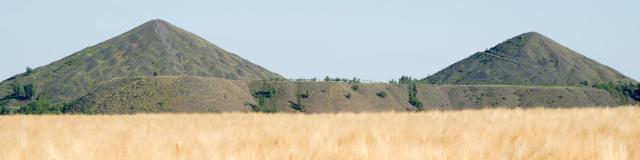 twin-earths-seen-from-the-wheatfields