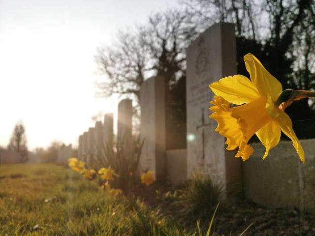 Dainville British Cemetery