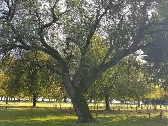 Cimetière Allemand De La Maison Blanche