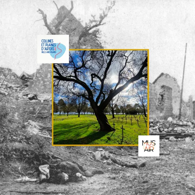 Musair Collines Plaines D Artois Chemins D Emotion