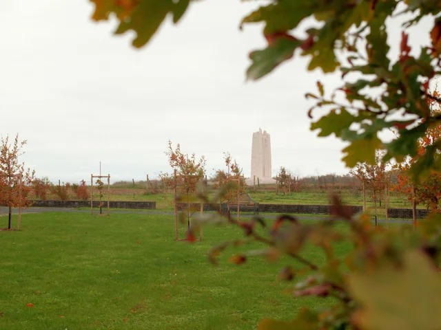 Parc commémoratif du Mémorial de Vimy et ses chênes